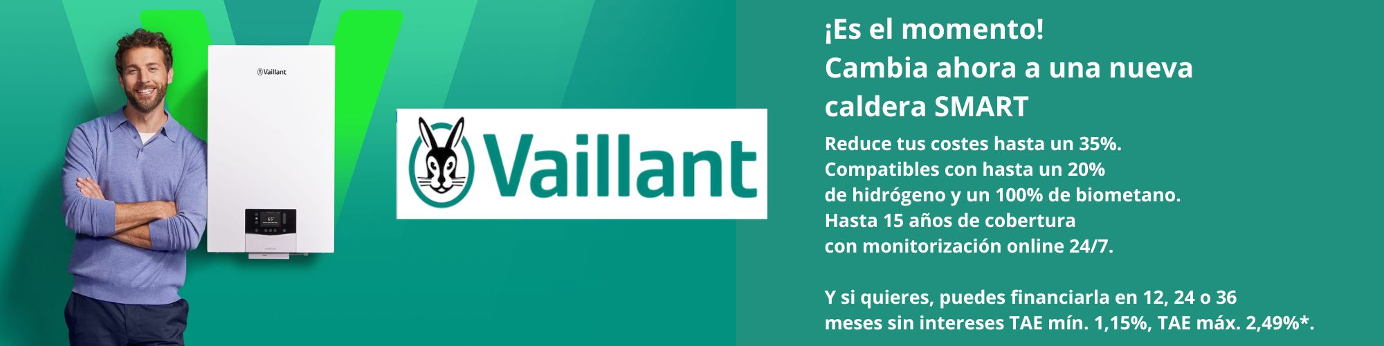 Promo. Vaillant